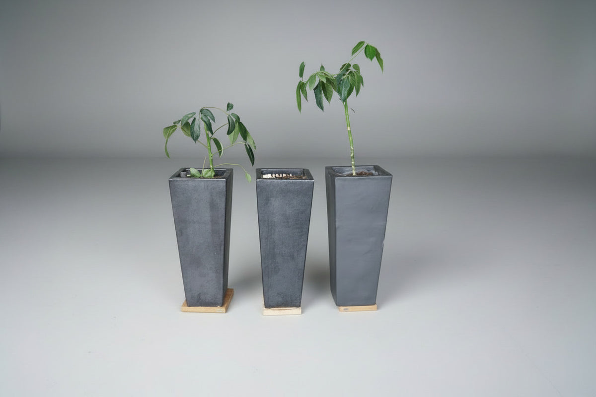 Tre matte antracit plantekasser med hjul set forfra