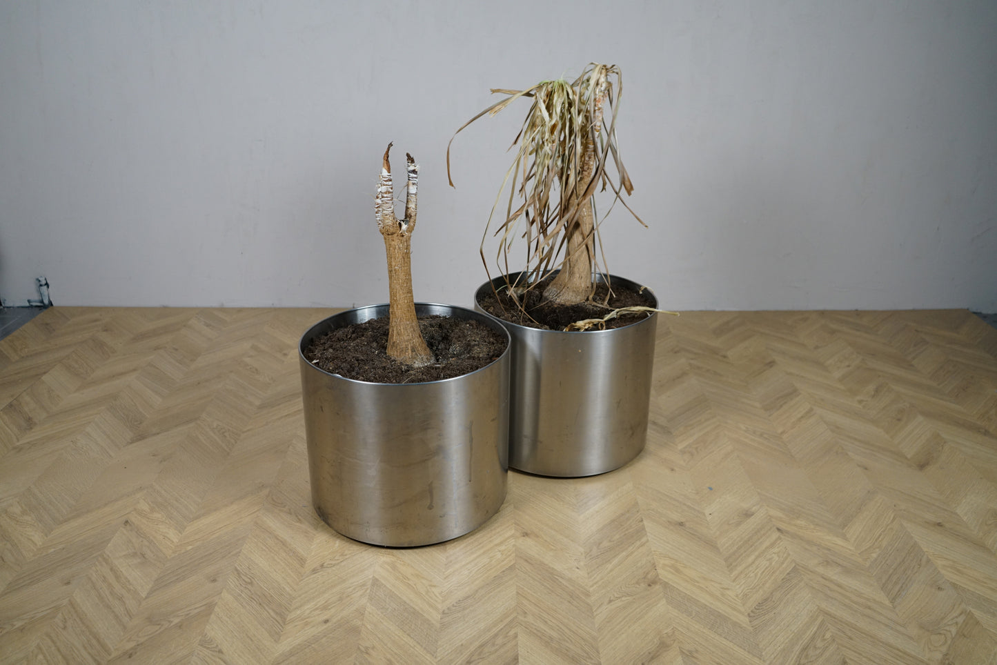 Cylindrisk metalpotte på hjul set forfra med industrielt udtryk