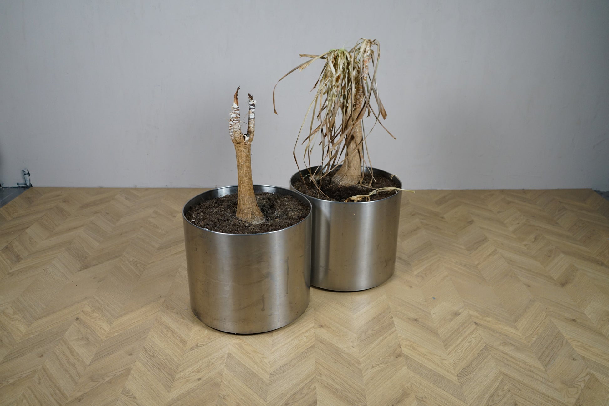 Cylindrisk metalpotte på hjul set forfra med industrielt udtryk