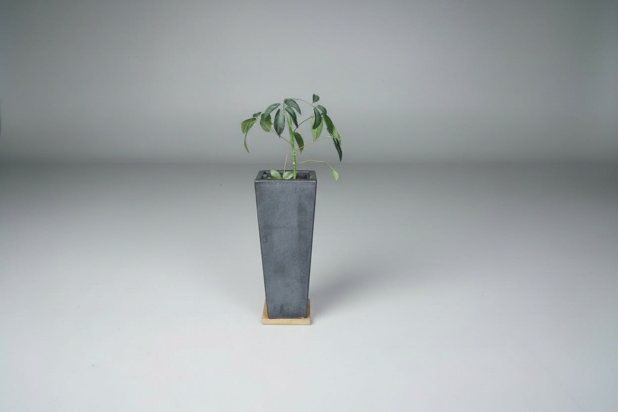 Mat sort antracit plantekasse med hjul set forfra